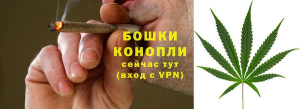 каннабис Аркадак
