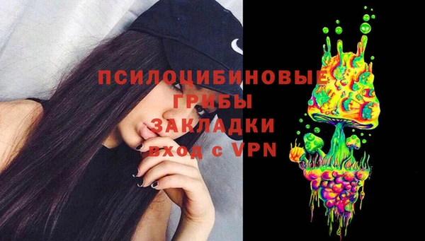 мдпв Арсеньев
