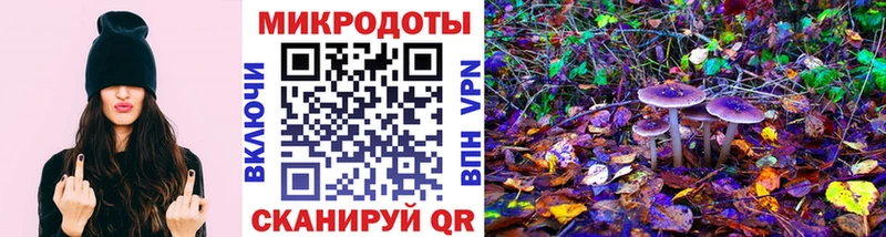 Псилоцибиновые грибы мухоморы  Купить закладки  Бутурлиновка 